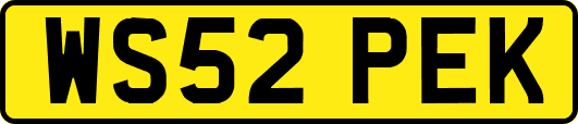 WS52PEK
