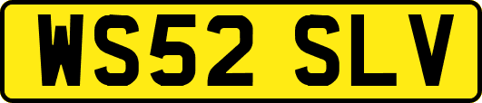 WS52SLV