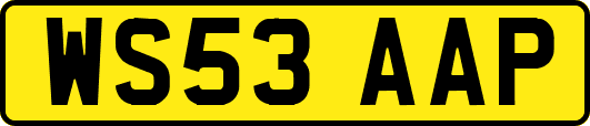 WS53AAP