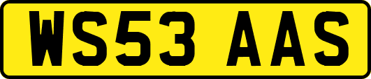 WS53AAS