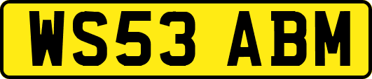 WS53ABM
