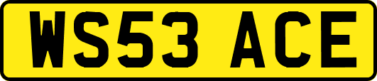 WS53ACE