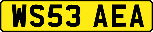 WS53AEA