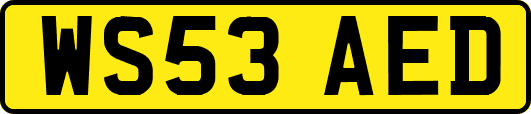 WS53AED