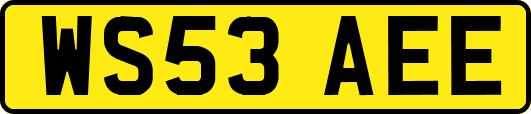 WS53AEE