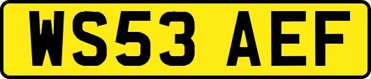 WS53AEF
