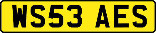 WS53AES