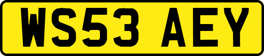 WS53AEY
