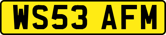 WS53AFM