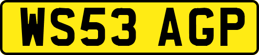 WS53AGP