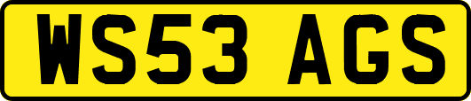 WS53AGS