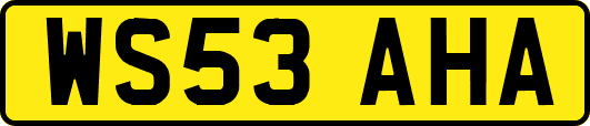 WS53AHA