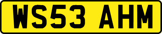 WS53AHM