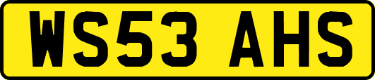 WS53AHS