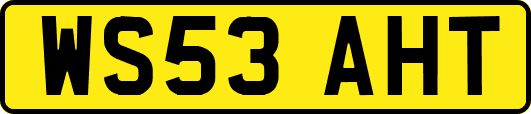 WS53AHT