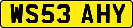 WS53AHY