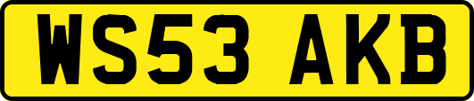 WS53AKB