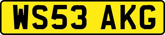 WS53AKG
