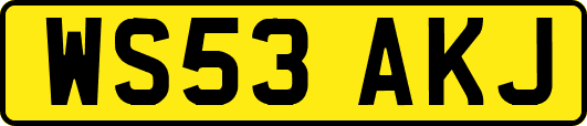 WS53AKJ