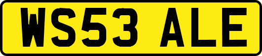 WS53ALE