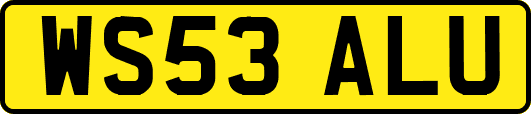 WS53ALU