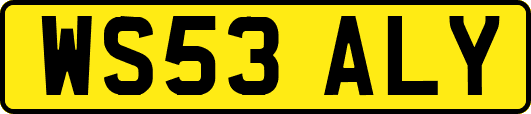 WS53ALY