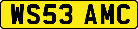 WS53AMC