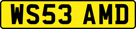WS53AMD