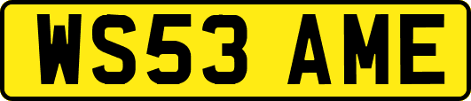 WS53AME