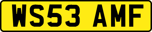 WS53AMF
