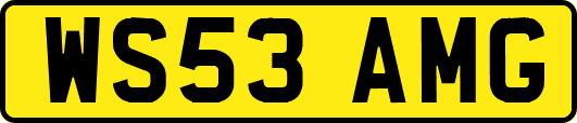 WS53AMG