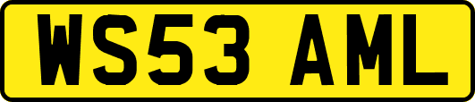 WS53AML