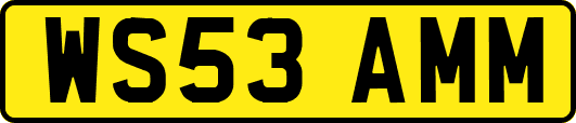 WS53AMM