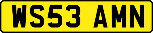 WS53AMN