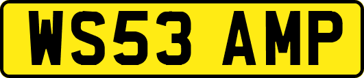 WS53AMP