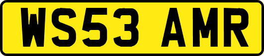 WS53AMR