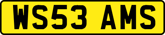 WS53AMS
