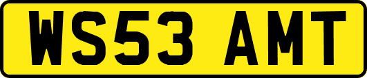 WS53AMT