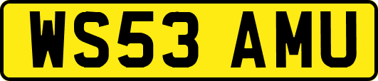 WS53AMU