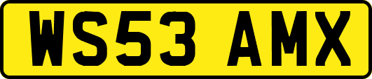 WS53AMX