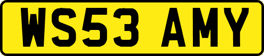 WS53AMY