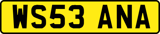 WS53ANA