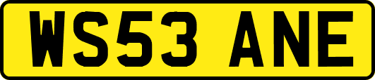 WS53ANE