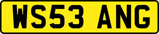 WS53ANG