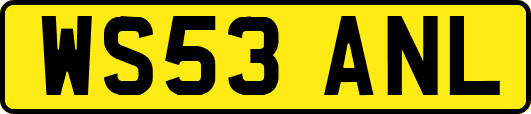 WS53ANL