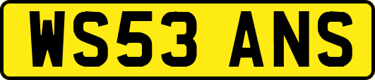 WS53ANS
