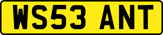 WS53ANT