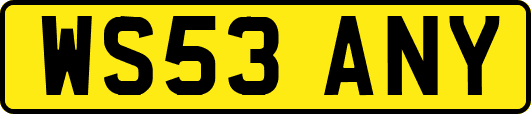 WS53ANY