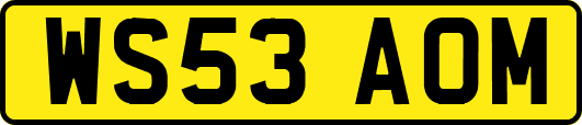 WS53AOM