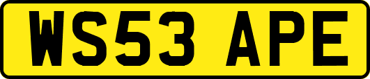 WS53APE
